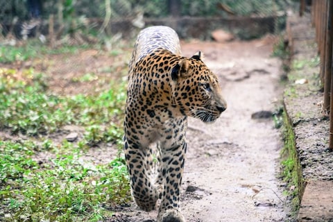 Bondla Wildlife Sanctuary